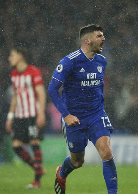 081218 - Cardiff City v Southampton, Premier League - Callum Paterson of Cardiff City celebrates after scoring goal