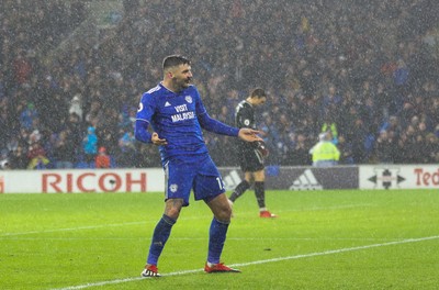 081218 - Cardiff City v Southampton, Premier League - Callum Paterson of Cardiff City celebrates after scoring goal