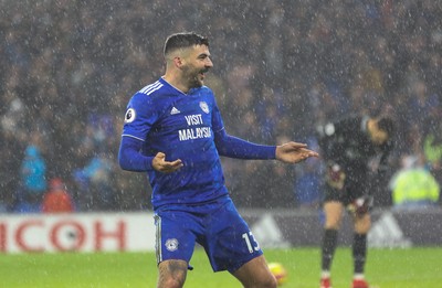 081218 - Cardiff City v Southampton, Premier League - Callum Paterson of Cardiff City celebrates after scoring goal