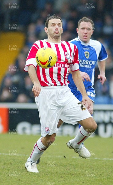 110206Cardiff City v Stoke Stokes Josip Skoko 