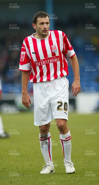 110206Cardiff City v Stoke Stokes Josip Skoko 