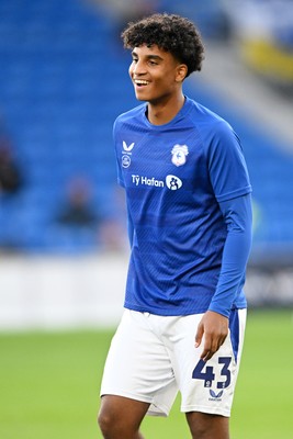 080926 - Cardiff City v Stoke City - Sky Bet Championship - Adeteye Gbadehan of Cardiff City