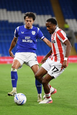 080926 - Cardiff City v Stoke City - Sky Bet Championship - Perry NG of Cardiff City is challenged by Eric Bocat of Stoke