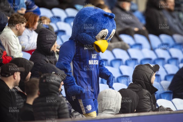 240224 - Cardiff City v Stoke City - Sky Bet Championship - Bartley the Bluebird during the second half 