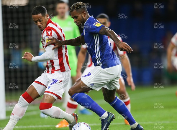 261119 - Cardiff City v Stoke City, Sky Bet Championship - Leandro Bacuna of Cardiff City takes on Tom Ince of Stoke City