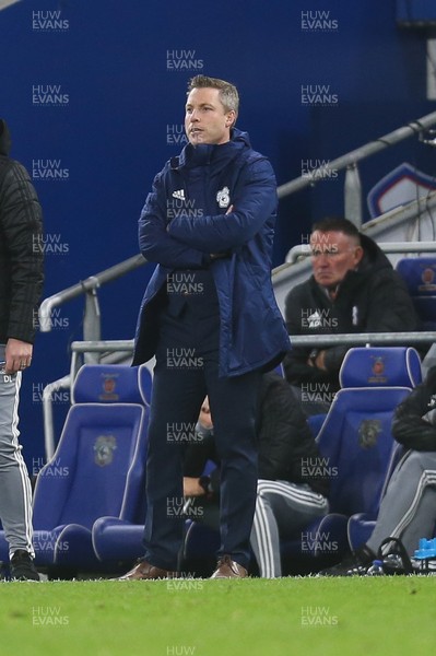 261119 - Cardiff City v Stoke City, Sky Bet Championship - Cardiff City manager Neil Harris reacts during the match