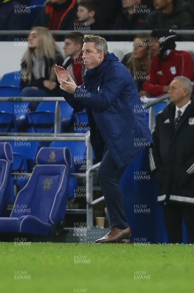 261119 - Cardiff City v Stoke City, Sky Bet Championship - Cardiff City manager Neil Harris reacts during the match