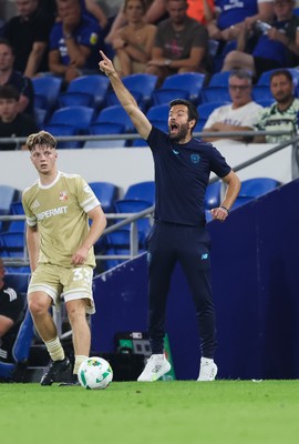 120825 - Cardiff City v Swindon Town, EFL Carabao Cup, Round 1 - Cardiff City head coach Brian Barry-Murphy during the match