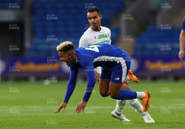 040723 - Cardiff City v The New Saints, Pre season friendly - Callum Robinson of Cardiff City reacts as he is brough down