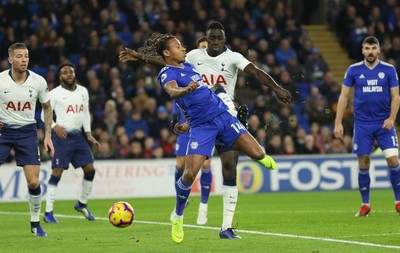 Cardiff City v Tottenham Hotspur 010119