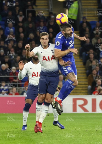 010119 - Cardiff City v Tottenham Hotspur, Premier League -  Callum Paterson of Cardiff City and Harry Winks of Tottenham compete for the ball