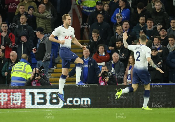 010119 - Cardiff City v Tottenham Hotspur, Premier League - Harry Kane of Tottenham celebrates after scoring the first goal