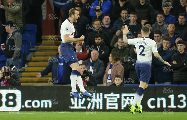 010119 - Cardiff City v Tottenham Hotspur, Premier League - Harry Kane of Tottenham celebrates after scoring the first goal
