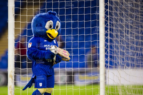 021122 - Cardiff City v Watford - Sky Bet Championship - Bartley the Bluebird at full time