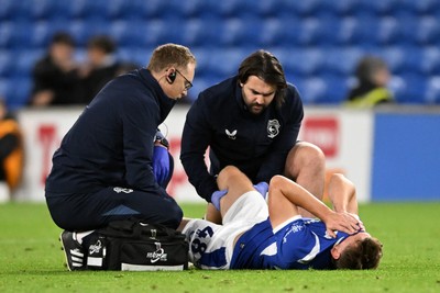 131026 - Cardiff City v Watford - Sky Bet Championship - Dylan Lawlor of Cardiff City is forced off with an injury