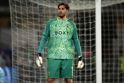 131026 - Cardiff City v Watford - Sky Bet Championship - Federico Ravaglia of Watford