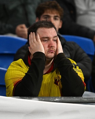 131026 - Cardiff City v Watford - Sky Bet Championship - Dejected Watford fan 
