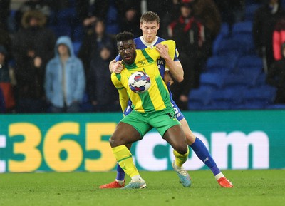 150323 - Cardiff City v West Bromwich Albion, EFL Sky Bet Championship - Daryl Dike of West Bromwich Albion and Mark McGuinness of Cardiff City compete for the ball