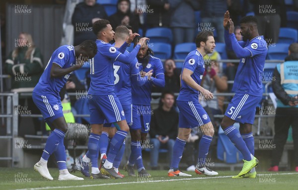090319 - Cardiff City v West Ham United, Premier League - Cardiff City players celebrate with Junior Hoilett of Cardiff City after he score goal