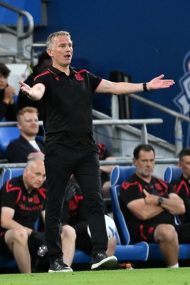 170826 - Cardiff City v Wrexham - Sky Bet Championship - Phil Parkinson, Wrexham Manager