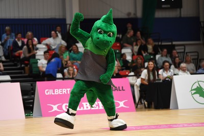 210525 - Cardiff Dragons v Birmingham Panthers - Netball Super League - Cardiff Dragons mascot