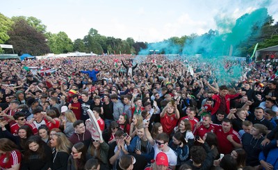 Cardiff Fan Zone 010716