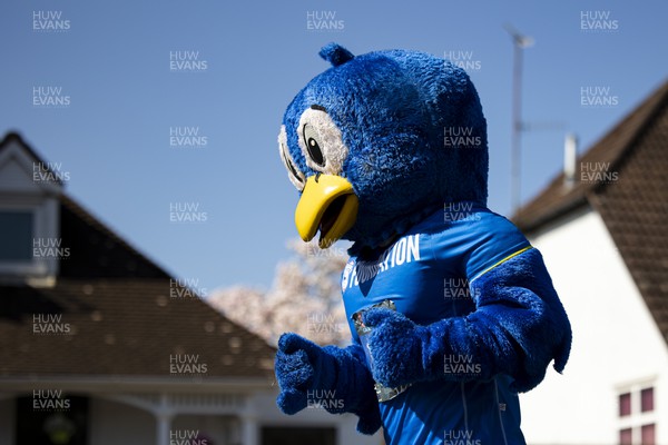 270322 - Cardiff University Cardiff Half Marathon - Cardiff City mascot Bartley the Bluebird running for the Cardiff City Foundation at Roath Park