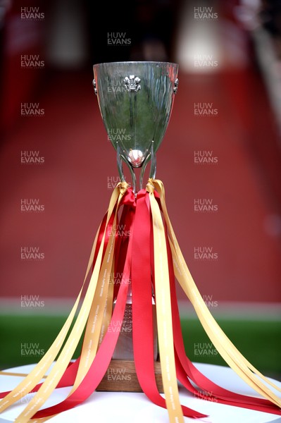 280419 - Cardiff v Merthyr - WRU National Cup Final - Cup trophy