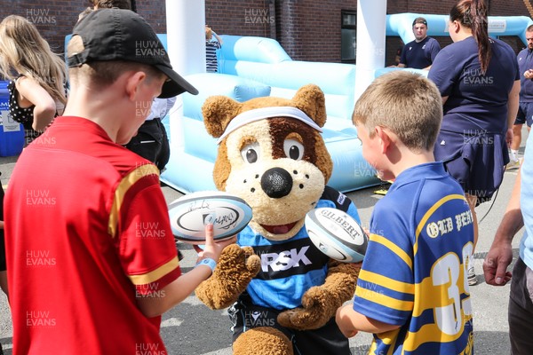060925 - Cardiff Rugby v Richmond - Preseason Friendly - Cardiff Rugby hosts the annual Summerfest for fans and supporters of all ages before the game