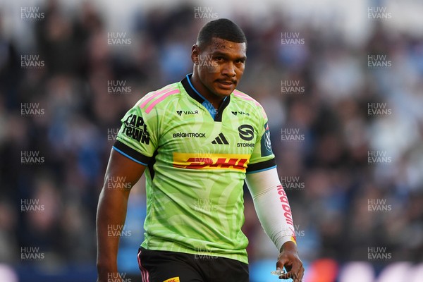 150526 - Cardiff Rugby v DHL Stormers - United Rugby Championship - Damian Willemse of Stormers