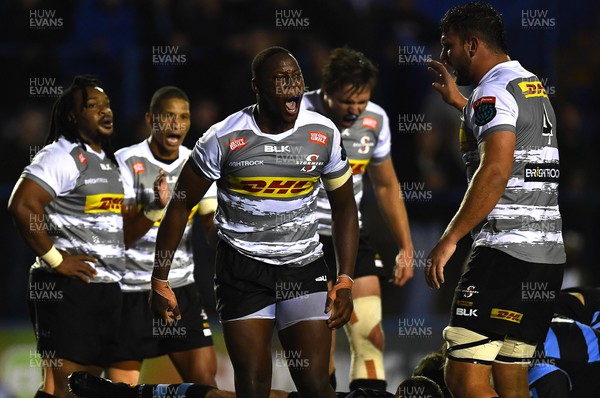 221022 - Cardiff Rugby v DHL Stormers - BKT United Rugby Championship - Nama Xaba of Stormers celebrates a turn over