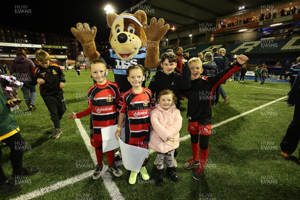 151022 - Cardiff Rugby v Dragons RFC - BKT United Rugby Championship - Bruiser the bear with fans