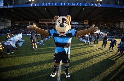 261225 - Cardiff Rugby v Dragons RFC, United Rugby Championship - Cardiff Rugby club mascot Buiser