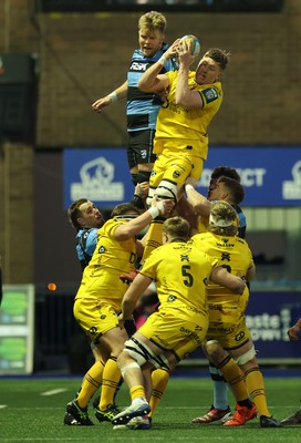 261225 - Cardiff Rugby v Dragons RFC, United Rugby Championship - Matthew Screech of Dragons RFC wins a lineout