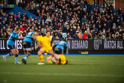 261225 - Cardiff Rugby v Dragons RFC - United Rugby Championship - Fans at Cardiff Arms Park