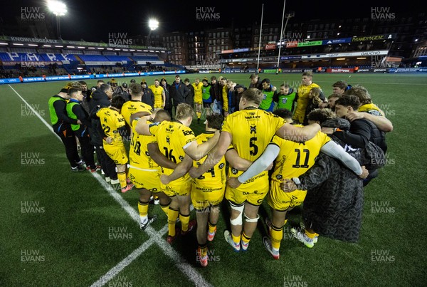 261225 - Cardiff Rugby v Dragons RFC, United Rugby Championship - The Dragons team huddle up at the end of the match 