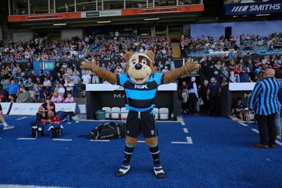 060925 - Cardiff Rugby v Richmond - Preseason Friendly - Bruiser Bear