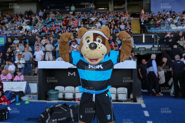 060925 - Cardiff Rugby v Richmond - Preseason Friendly - Bruiser Bear