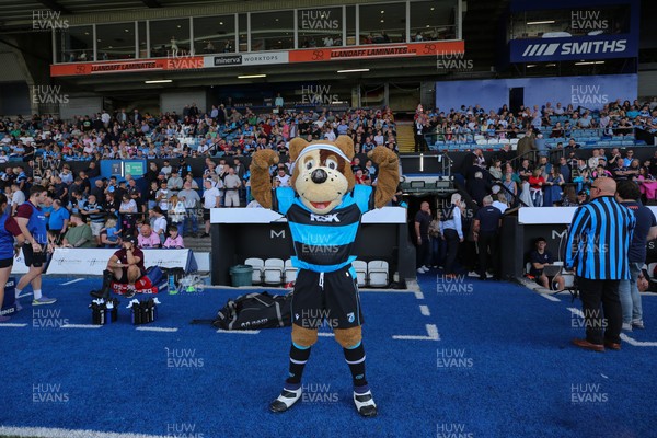 060925 - Cardiff Rugby v Richmond - Preseason Friendly - Bruiser Bear