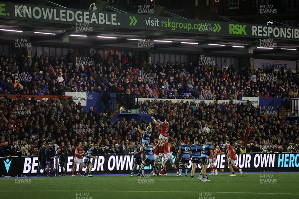 191225 - Cardiff Rugby v Scarlets - United Rugby Championship - General View of the crowd watching a line out