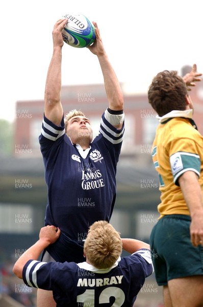 310503 - Australia v Scotland - Cardiff Sevens - IRB Sevens World Series - Scotland's Sean Lamont wins line out as he is supported by Jamie Murray, despite attention from Scott Barton (rt)