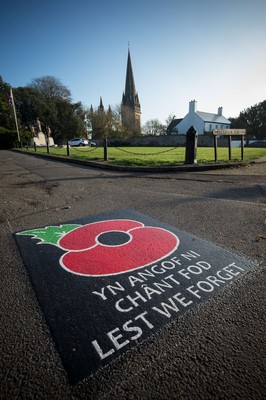 Cardiff Street Poppies 061120