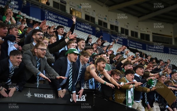 240424 - Cardiff University v Swansea University - Welsh Varsity Mens Match - Supporters of Swansea Uni celebrate after a victory