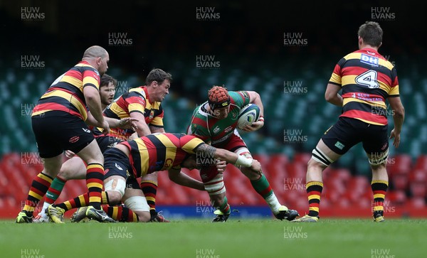 010516 - Carmarthen Quins v Llandovery - SSE SWALEC Cup Final - Matthew Harburt of Llandovery