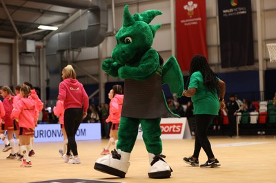 270323 - Celtic Dragons v Strathclyde Sirens - Vitality Netball Super League - Mascot