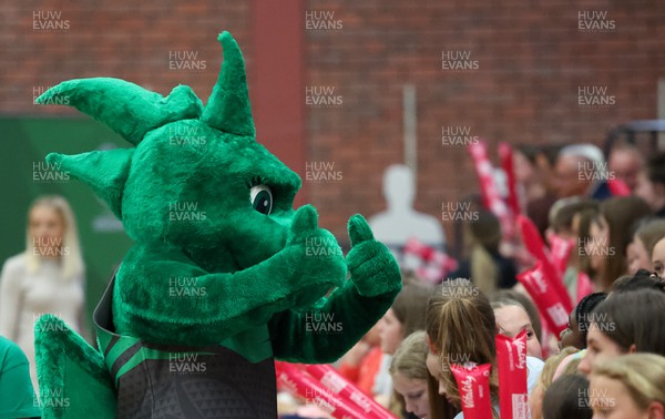 090522 - Celtic Dragons v Wasps, Vitality Netball Superleague - Celtic Dragons mascot Delilah meets fans ahead of the match
