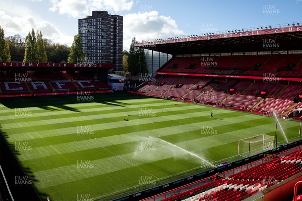 011125 - Charlton Athletic v Swansea City - Sky Bet Championship - A general view of The Valley