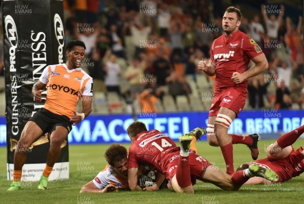 021217 - Toyota Cheetahs v Scarlets - Guinness PRO14 -  William Small-Smith of the Toyota Cheetahs scoring his try