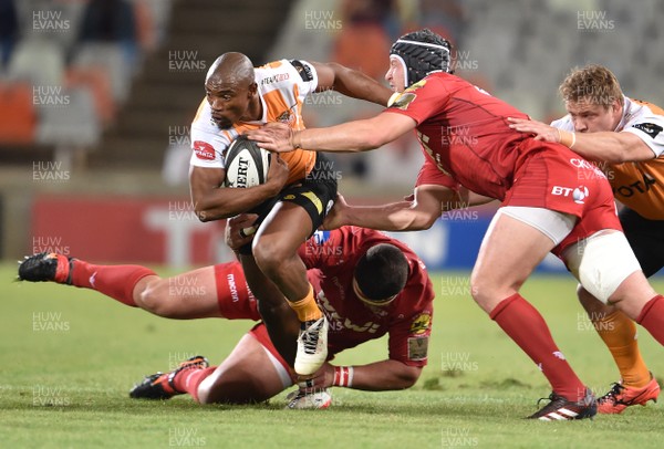 021217 - Toyota Cheetahs v Scarlets - Guinness PRO14 -  Makazola Mapimpi of the Toyota Cheetahs