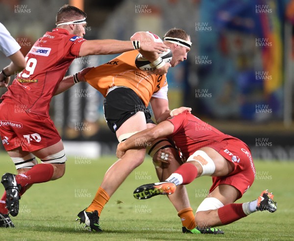 021217 - Toyota Cheetahs v Scarlets - Guinness PRO14 -  Carl Wegner of the Toyota Cheetahs